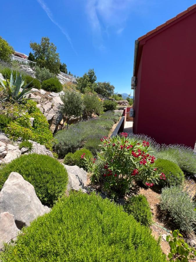 Apartments Angela Cesarica Dış mekan fotoğraf